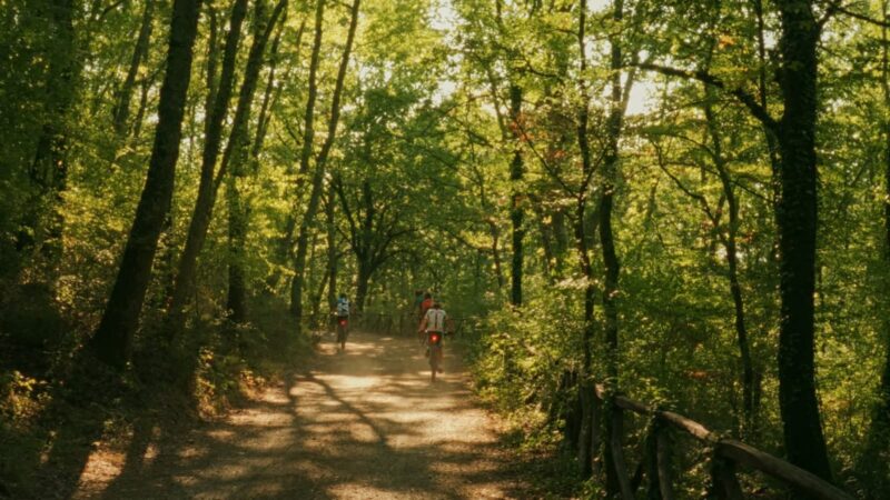 Giro del Lago in bicicletta