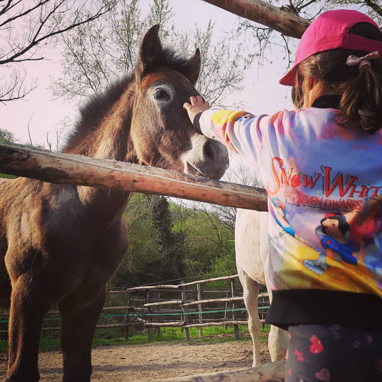 Ausritte und Reiterlebnisse