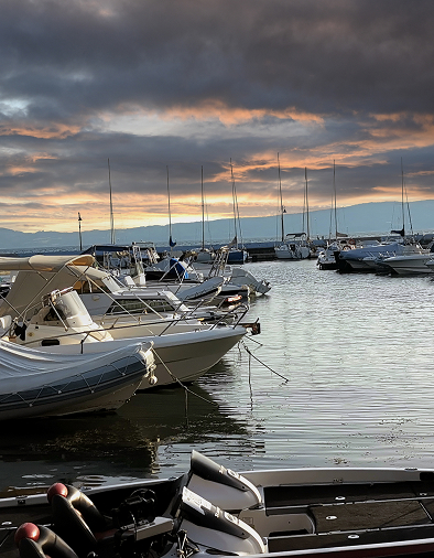 Tante storie tra il verde e il blu