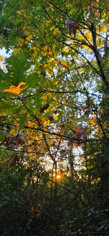 Cammino Intrepido Larth