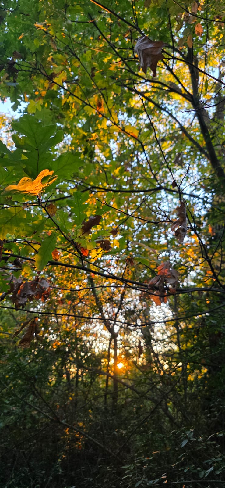 Intrepid Larth Trail » Visit Bolsena