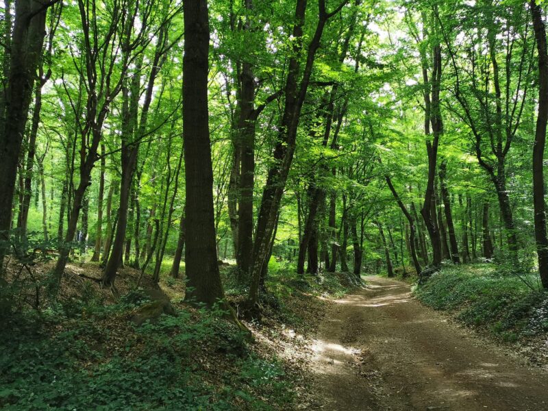 Parco Naturalistico di Turona