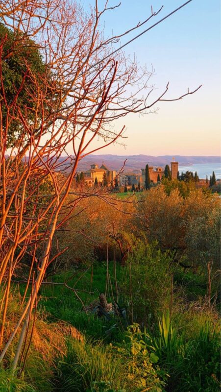 Passeggiate panoramiche  intorno al lago