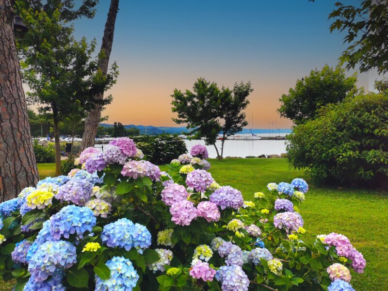 Percorso roller, walk e fitness panoramico