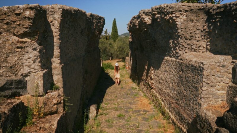Area Archeologica di Volsinii a Poggio Moscini