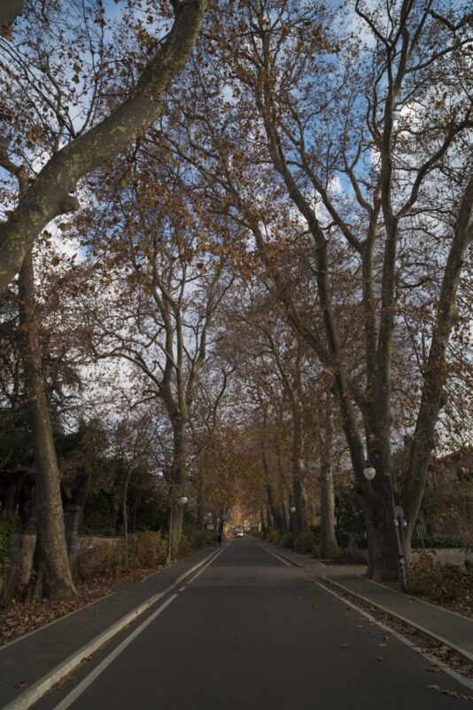 Viale Monumentale Colesanti