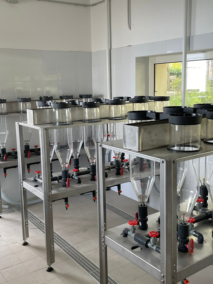 Incubatorio Ittico di Bolsena