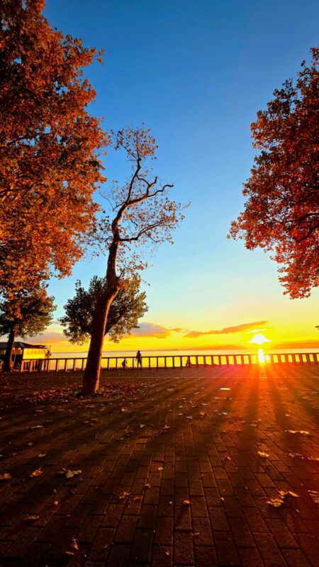 Tante storie tra il verde e il blu