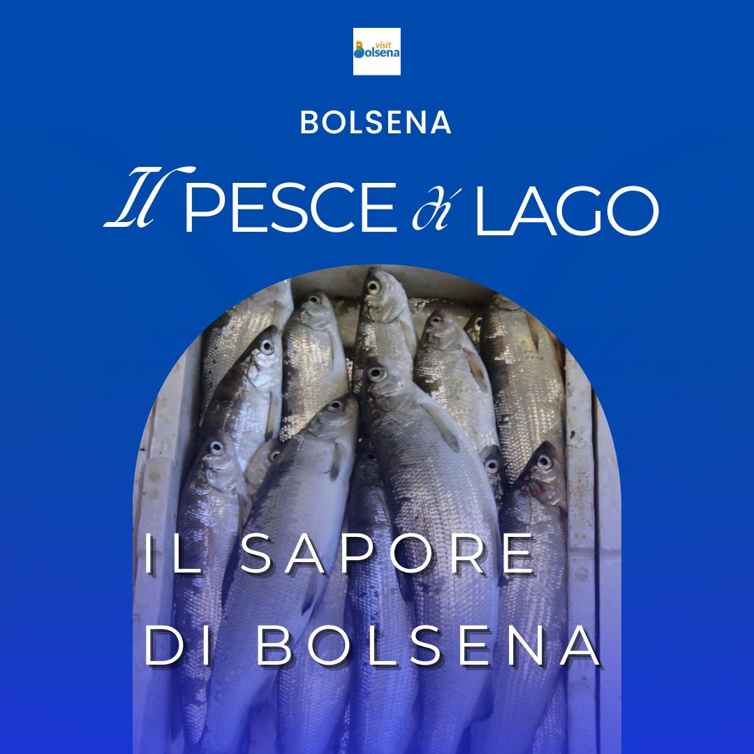 Pesce di lago a Bolsena: tradizione, cucina e sapori del Lago di Bolsena