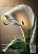 La Calla – Un fiore per Bolsena | Mostra e concorso di ricamo 2026 locandina