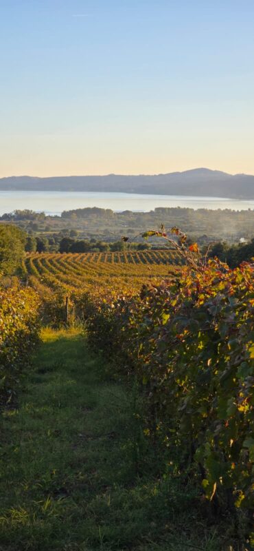 Bolsena a settembre: cammini e sentieri tra il lago e la Tuscia